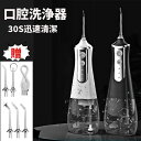 口腔洗浄器 歯垢除去 口内洗浄機 超音波 電動 ジェットウォッシャー ウォーターピック ジェットフロスコンパクト usb充電式 歯磨き 歯周病予防 300ml ...