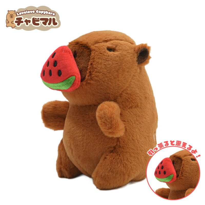 【公式】チャビマル アクエリアス【スイカ】カピバラ ぬいぐるみ キーホルダー マスコット キーチェーン かわいい 癒し系 ふわふわ プレゼント ギフト 子供 大人 人気 グッズ キャラクター バッグチャーム 通勤 通学 小物 雑貨 おしゃれ