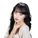 【公式】ハピバ プリンセスティアラコーム 誕生日 お祝いグッズ SNS 宴会 コスプレ ■ ハッピーバースデー ハロウィン コスチューム コスプレ 衣装 忘年会...
