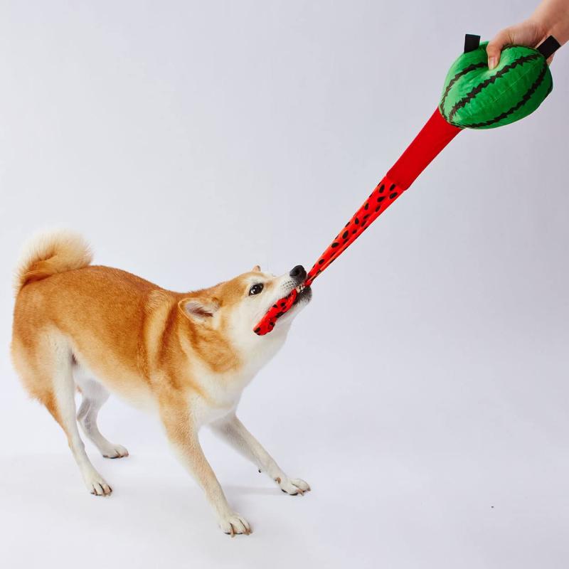 ペティオ (Petio) 犬用おもちゃ びよ~ん フルーツ スイカ