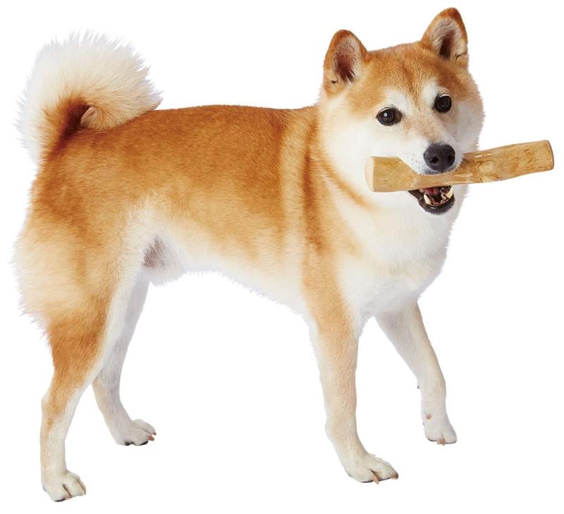 アドメイト (ADD. MATE) 犬用おもちゃ エシカルメイト コーヒーウッドトイ Lサイズ