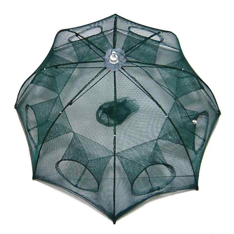 Angel's Share morningplace 緿 Ȭ  Ȭļ  ѥȼǼ ޤ߼ 92cm    