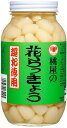 桃屋 花らっきょう 超お徳用 580g【ラッキョウ 小粒 福神漬 漬物 漬け物 カレー つまみ 】