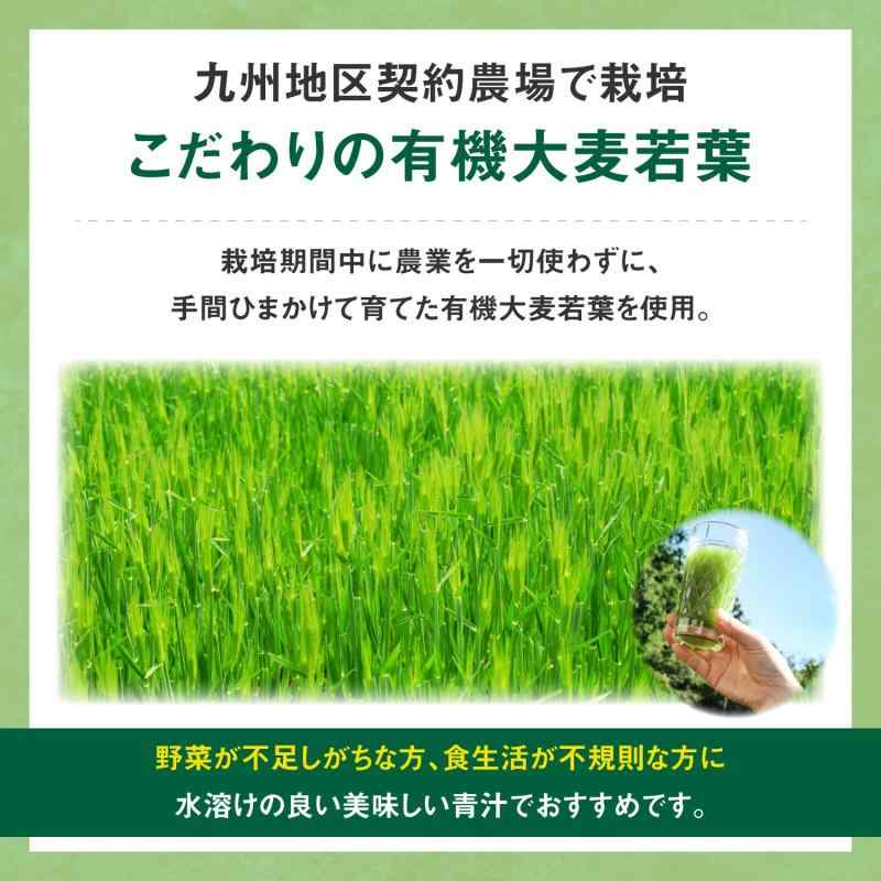 リビタ大麦若葉 青汁 3g×30袋 大正製薬 水溶性食物繊維、カルシウム、オリゴ糖、セサミ配合 [栄養補助食品] clearstore2024-10031503 clearstore サンプル画像3