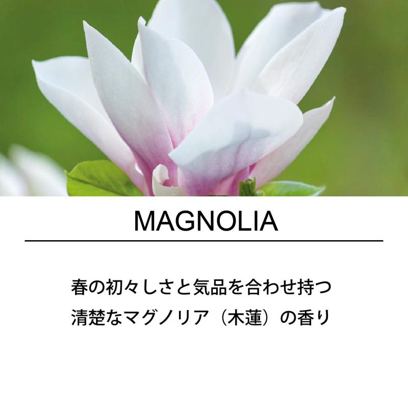 エステバン エスプリドナチュール マグノリア スティック 40本 お香 香立て付 インセンス 日本製 clearstore2024-10399670 clearstore サンプル画像2