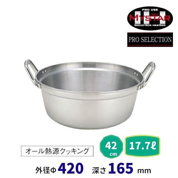 IHマイスター料理鍋　42cm　17.7L