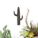 2個セット販売 アイアン サボテンフック 壁掛けフック キャストアイアン アンティーク調 CAST IRON CACTUS HOOK2個セット売り