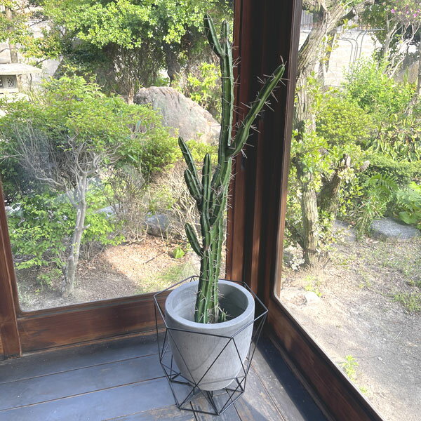 柱サボテン 118cm 観葉植物の造花 人工観葉植物 フェイクグリーン fake cuctus かわいい おしゃれ