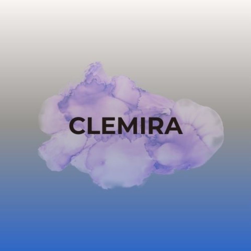 Shop icon