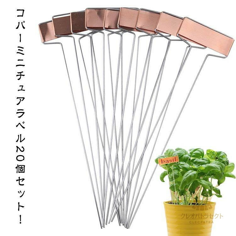 園芸用ラベル 20個セット 名入れ 植物ラベル 鉄製 金属製 T型 防錆 プランツラベル ローズラベル 園芸..