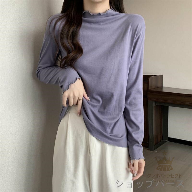 【クーポンで10％オフ】Tシャツ レディース ヒートテック カットソー 長袖 裏起毛 裏ボア 暖かい トップス ハイネック インナー 重ね着 レイヤード 秋 春 冬