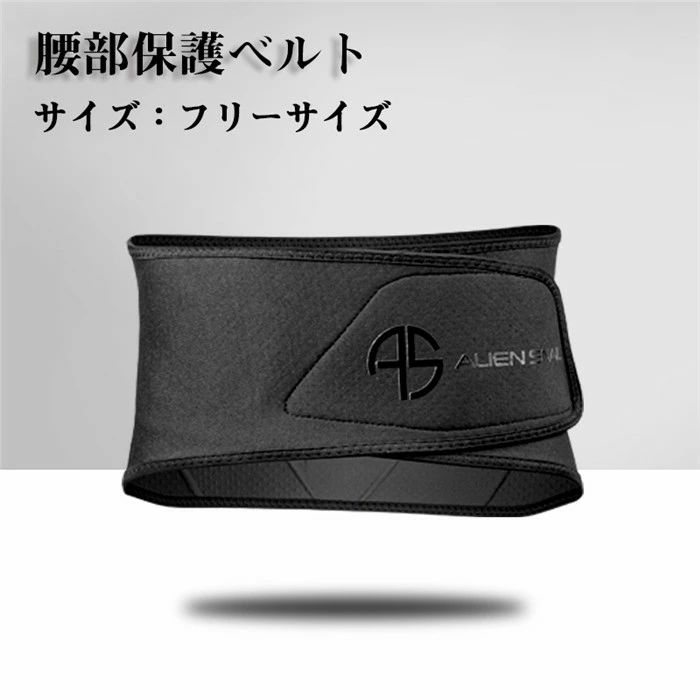 腰部保護ベルト 腰プロテクター ウェストベルト 腰紐 ゴム 腰ひも こしひも プロテクター ボディーアーマー 成人用 男性 女性 バイク 自転車 パッド 耐衝撃 通気性 防風性 腰パッド スケボー 保護パッド スキー かっこいい メンズ 腰用ハード 安全