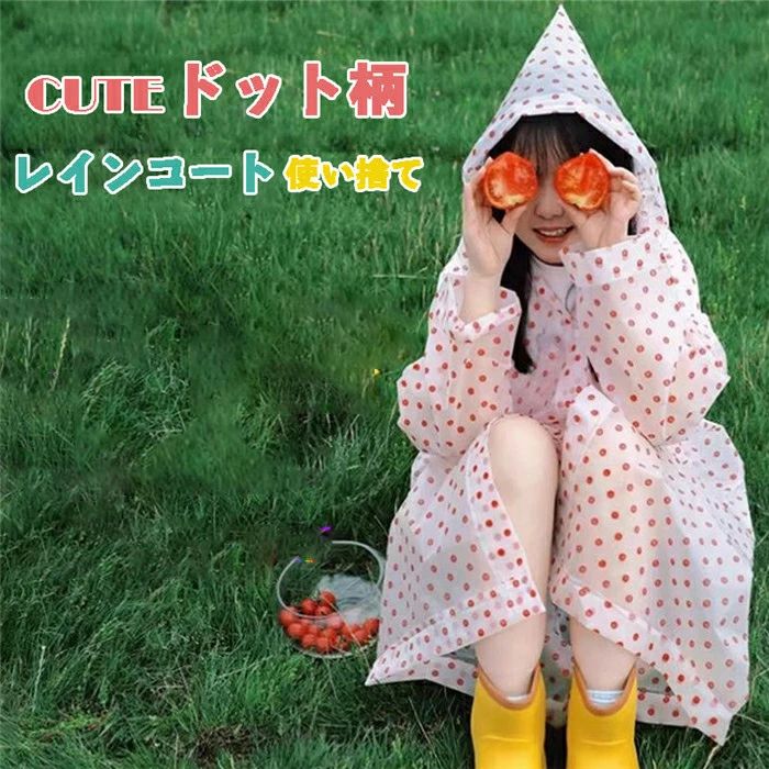 �쥤�󥳡��� �쥤��ݥ���� µ���� ξ���� ���籩 �ȥå��� ��ž�� ���å� ���� µ�դ� ���� �Ȥ��Τ� ���к� �Х��� ������ �礭�������� �쥤��...