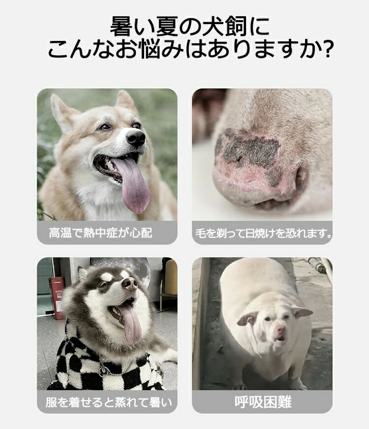 thum2