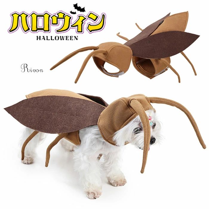 ハロウィン 猫 小型犬用 ゴキブリ服 変身グッズ コスチューム ペット服 【2025新登場】 かっこういい ..