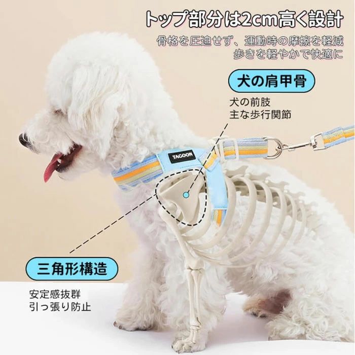 【クーポンで10％オフ】犬 ハーネス リード セット 彩虹デザイン 胴輪 V字型 通気...