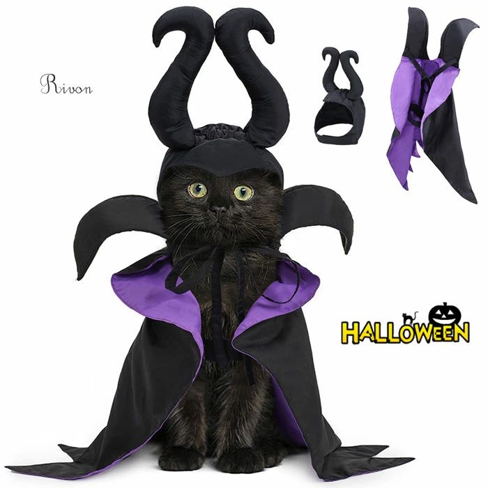 【クーポンで10％オフ】ハロウィン ペット服 コスチューム コスプレ 犬 猫用 ハロウィン 帽子 マント ペット 仮装 魔女帽子 かぶりもの ケープ 黒 悪魔 変身服 ハロウィーン 衣装 ペット 服 ペットウェア アウター ペット用 クリスマス 写真撮影 2個セット