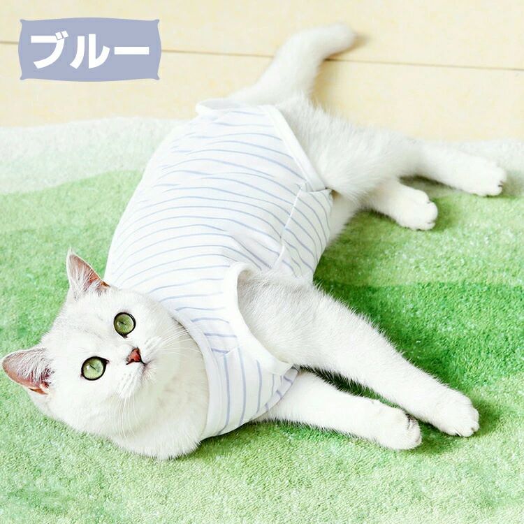 ǭ �Ѹ��� ��ǥ ���� ǭ ���Ӥ��ɻ� æ���ʤ� ����� �ޥ��å��ơ��� ���� �᥹ ���ꥶ�٥����顼������� ǭ���� ������ �ղ� ���� �ɥå������� ������� �ڥå��� ������ �淿�� �ȥ��ס��ɥ� ���å��� ����� �ڥå��ѽѸ���