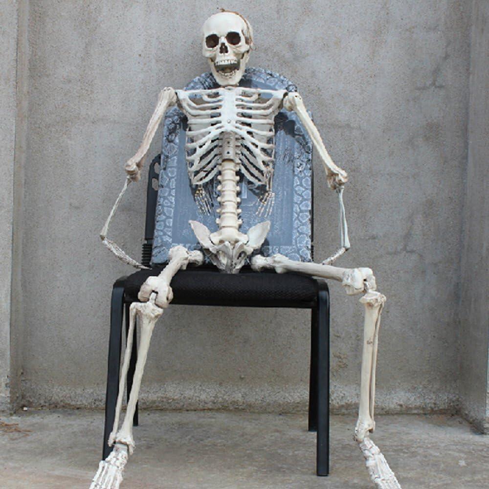 【クーポンで10％オフ】ハロウィン 骸骨 飾り 165cm等身大 スケルトン 怖い お化け屋敷 髑髏 恐怖 ホラー デコレーション 雰囲気満点 装飾 道具 家庭用 店舗 パーティー 肝試し ハロウィン グッズ
