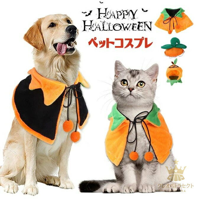 쥪ѥȥ饻쥯Ȥ㤨֥ϥ  ڥå 塼 ޥ ˹ 2å    ǭ ڥå ѿȥå ץ  ڥå ץ ǭ Ҹ  ̵פβǤʤ2,340ߤˤʤޤ