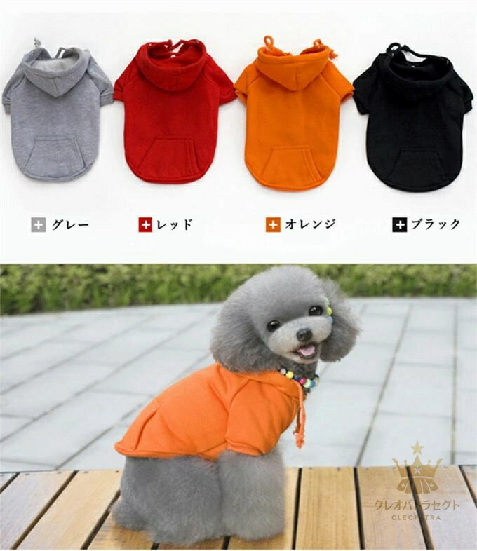 サンプル画像2