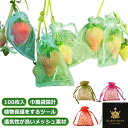 果樹用防鳥ネット 果物保護バッグ 果物袋 果物保護ネット 保護ネット 100枚入 栽培用 オーガンジー生地 桃 果実袋 ネット 鳩よけネット イチゴ 通気性 イチゴ 鳥よけ 虫よけ カラス対策 害虫鳥避け メッシュ 鳥よけネット 農業用 野菜保護 収穫 防虫