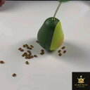 猫おもちゃ ペット猫インセンティブ知能玩具 人気ネコ用知育玩具 ダルマ だるま 猫のプレゼント 猫を鍛える玩具 寂しさ解消 ストレス解消 運動不足対策のペット用品 子猫 おもちゃ