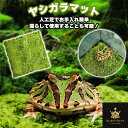 爬虫類 マット 飼育用 寝床 人工芝 保湿吸水 テラリウム寝具 洗える 通気性 カエル カメ ヘビ 送料無料