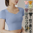 S-2XLサイズ 1枚で着れる 袖付きスポーツブラ ジムにも パット付半袖Tシャツ 筋トレウェア レディース ショート丈 ブラトップ 半袖 固定 ルームウェア カップ付き フィットネス ヨガ ピラティス ジム トレーニング ウェア トップス 送料無料