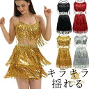 贅沢スパンコール 上下セット フリンジ ダンススカート ハーフトップ レース カップ付き 無地 巻きスカート ウエストゴム 大会 三角 ダンス衣装 本番 アシンメトリー 社交ダンス ラテンダンス モダンダンス ラップスカート ミニスカート 送料無料