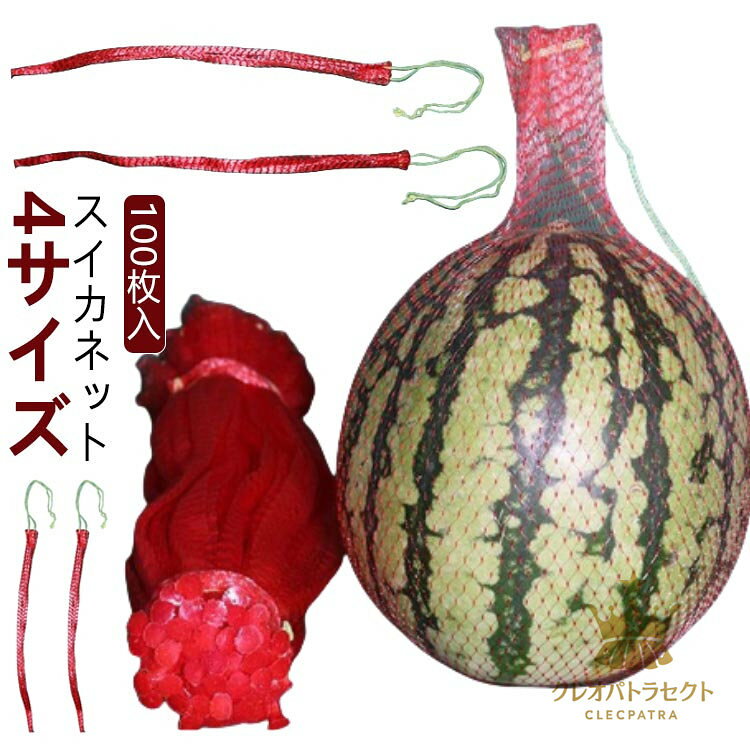 大玉用 吊り下げスイカネット 網 中玉 ネット メッシュネット袋 直売 すいかネット 西瓜 100枚入り スイカ すいか ロープ付き 販売 生産者 多用途 西瓜ネット スイカネット
