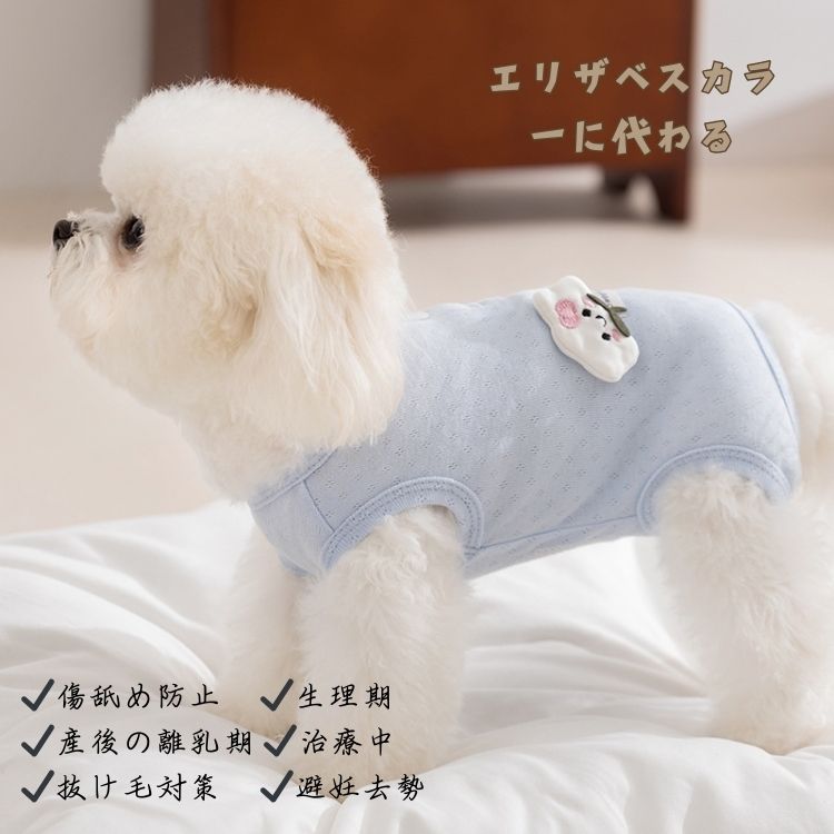 �� �Ѹ��� ��ǥ �᥹ ���� ���� ǭ�� ���淿 ���� �Ѹ��� �͵� �Ѹ奦���� ������ ���� ���� �ݸ� ���Ѹ��� �ð�� ��Ѹ� ���� �Ѹ奦���� ���Ӥ��ɻ� �Ѹ��� �� ���� ���λ� �ˤλ� ����� ���襤�� ������ ���С������� ���� �夻�䤹�� �ڥåȰ��� ������� XS-XXL