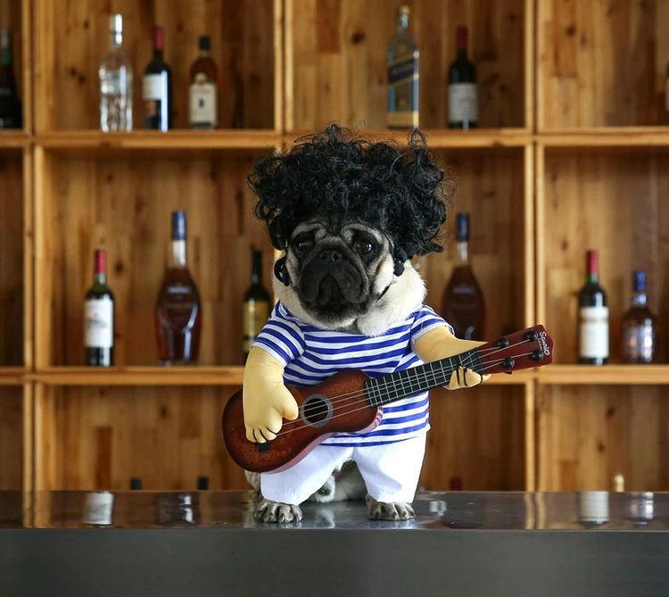 �ڥåȥ����� �ѡ����� �ץ륪���С� �ϥ������� �����ץ� ���� ǭ�� ���� �ɥå������� ����åȥ����� µ���� �ϥ��������� �ѡ��ƥ��� �����奢�� �İ���...