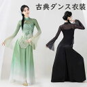 ダンス衣装 中華風 3点セット 大人古典ダンス衣装 女性 漢服 ブラウス グラデーション スリット入り シースルー ガウチョパンツ キャミソール 竹柄 演奏会 ...