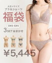 大きいサイズ レディース ブラジャー ショーツ3点セット福袋 【LLサイズ 3Lサイズ 4Lサイズ 5Lサイズ】【大きいサイズ レディース】【13号 15号 17号 19号】【マタニティウェア】あす楽対応