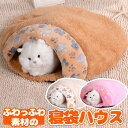 【週末アウトドア★熱中症対策SALE】本日5倍【送料無料】猫...