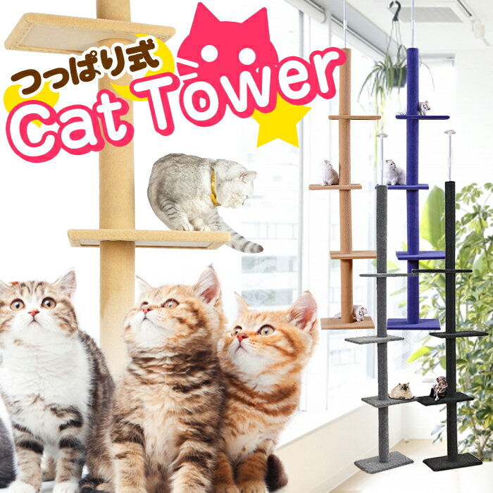 【土日★Fバーゲン+6％offクーポン】キャットタワー 突っ張り / シンプル キャットポール 木登り ネコタワー 高さ230〜260cm シンプル スリム 猫のお家 天井 突っ張りタイプ 送料無料