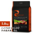 【2個で4%off★SALE】リガロ ハイプロテインレシピ 子犬成犬用 ラム 5.8kg ラッピング不可