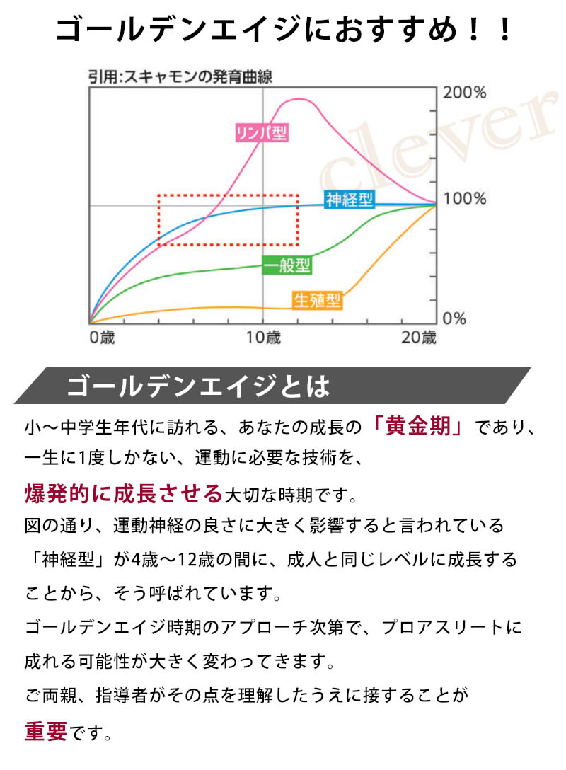�ں���80%off��ŷSALE�������ѥܡ��� ���å��� ������������å� ���ȥ�åץܡ��� TSSBX-2502 2025 new model �եåȥܡ��륮�� �եåȥ��� �ȥȥ� �ܡ��� ���å����ܡ��� �ȥ졼�˥� ����ȥ� ���ȥ�åץܡ��� ��եƥ��� TigerShot ��åԥ󥰲�