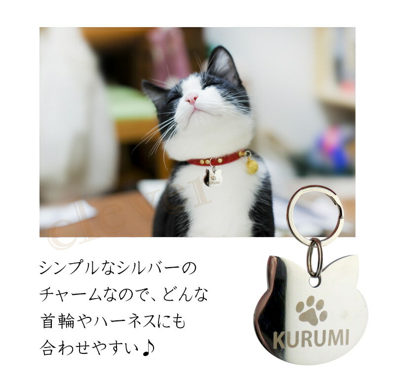 �ڥå��� �͡��� �ץ졼�� �ͥ��������� �ɥå����� �ɥå����� �ڥåȥ��� �»һ� �ڥå���̾�� ̾����̵�� ID���� �� ǭ �͡���ץ졼�� ���ƥ�쥹�� ����С� �͡��ॿ�� ���������ᥤ�� �ڥåȥ͡��ॿ�� ���� �ϡ��ͥ� ���ȥ쥹�ե꡼ ��åԥ󥰲�