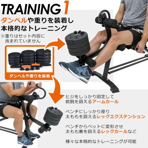【P5+2倍★300円/最大1000円off】レッグクラインベンチ クラインベンチ エクササイズベンチ お家で本格的なトレーニング 筋トレ トレーニングマシン トレーニングベンチ ホームジム レッグカール アームカール ベンチ 送料無料 運動不足解消通販格安セール情報 楽天 通販