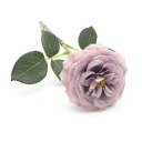 bonboog ボンブーグ ボタニカルペン/モダンローズ Botanical Pen/Modern Rose