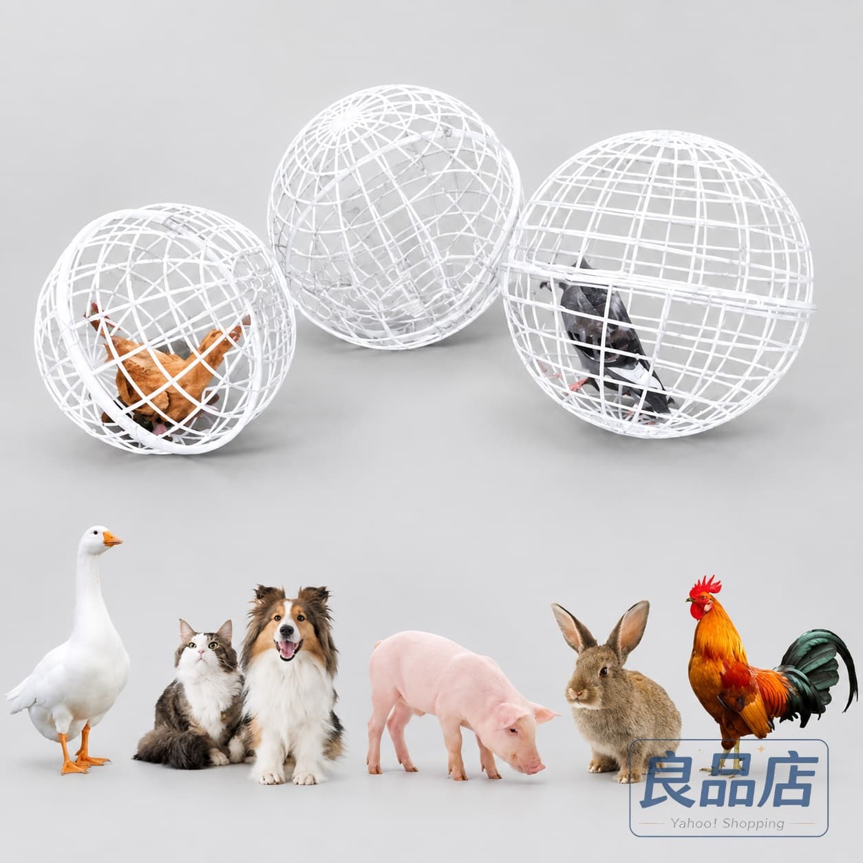 2025新登場 ラビットハッチチキンボールケージ 鶏舎、丸いプラスチック鶏ケージ、...
