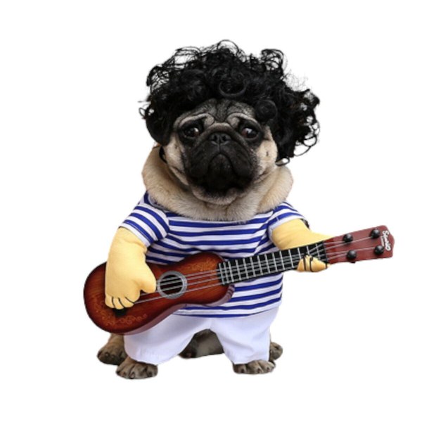 犬 猫 ペット用 コスチューム 服 コスプレ ウクレレ ギター ボーダー 可愛い アフロ ウィッグ 洋服 小型犬 中型犬
