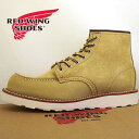 【保革用スエードクリーナープレゼント】【限定品】レッドウィング RED WING Classic Work/6