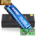 East top ハーモニカ ブルースハーモニカ 10ホールズハーモニカ C調10穴ハーモニカ ステンレスカバー ダイアトニ
