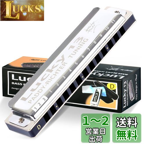 East top ハーモニカ ブルースハーモニカ 13ホール D? ジャズ専門家 大人用 子供用 勉強 練習用 真鍮カバー キャンバスケース Lucky13 (PaddyRichter-D) その1