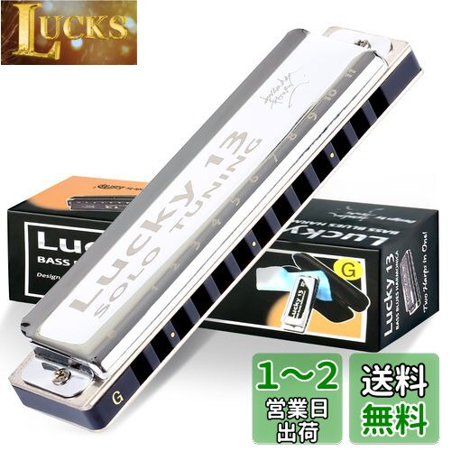 East top ハーモニカ ブルースハーモニカ 13ホール G? ジャズ専門家 大人用 子供用 勉強 練習用 真鍮カバー キャンバスケース Lucky13 (solo-G) その1