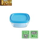 佐藤金属興業 SALUS デュラレックス カレ ボウル フタ付 14cm(3)