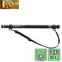 ダイワ(DAIWA) 玉の柄 ランディングポール2 600
